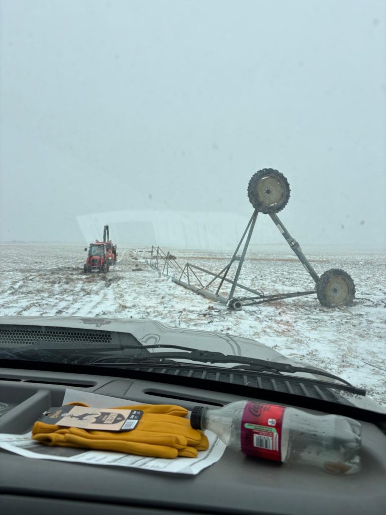 storm damage recovery